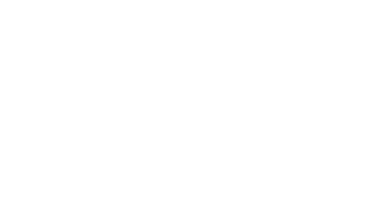boss