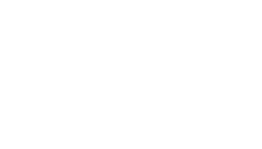 polaroid
